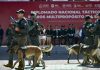 Eficacia de la Compañía K9 en localización de narcóticos contribuye a reducción de homicidios: Gobernador