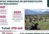 En Veracruz se ha reforestado estratégicamente con 279 mil árboles: Cuitláhuac García