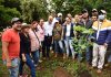 Realizan Ayuntamiento y Gobierno del Estado jornada de reforestación