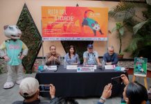 Explora Xalapa con la Ruta del Tlacuache