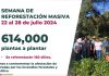 Apuesta Veracruz por la restauración forestal ante cambio climático
