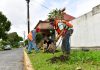 Realiza Ayuntamiento jornada de mantenimiento en áreas verdes