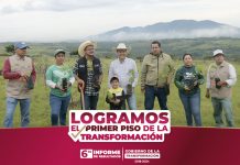 Cuitláhuac García cierra sexenio con más de 11 millones de árboles sembrados