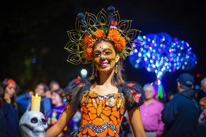 PHOTO-2024-10-30-13-28-34