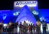 Inaugura Cuitláhuac García Aquarium de Veracruz: el mejor de Latinoamérica