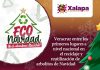 Invita Ayuntamiento a campaña de reciclaje de pinos navideños